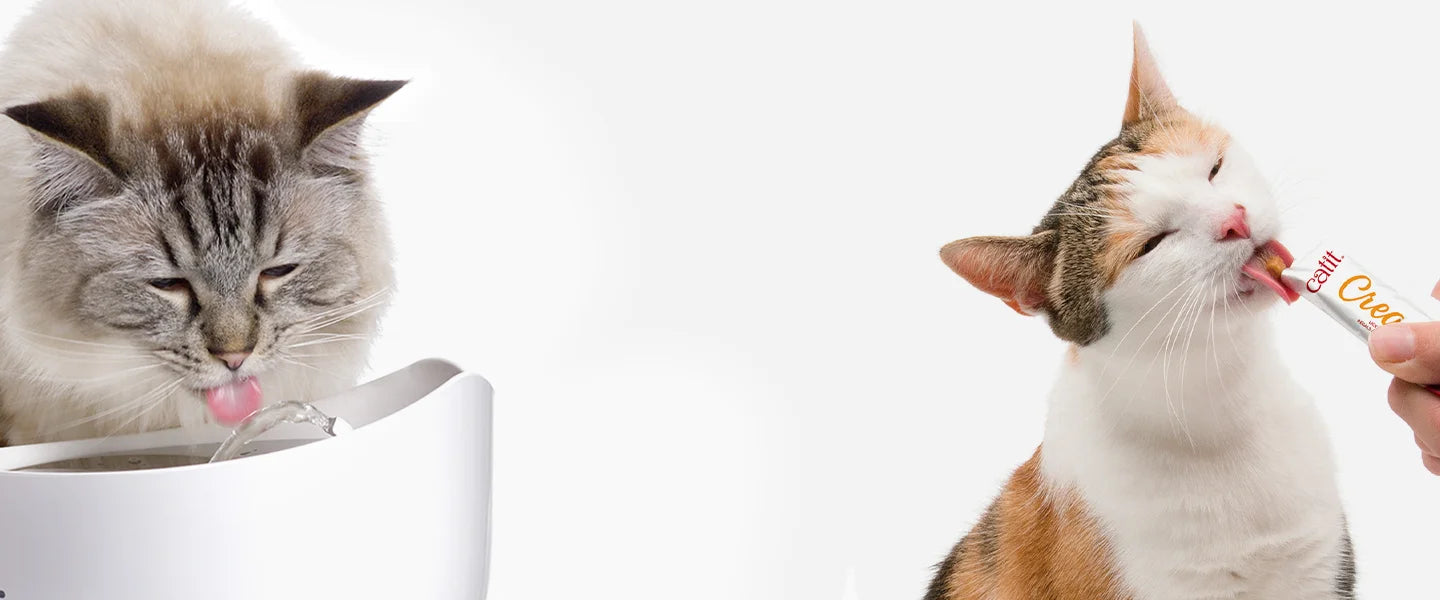 Catit_SHOPIFY_BANNER_Hidratacion_DESKTOP-AUG-2025