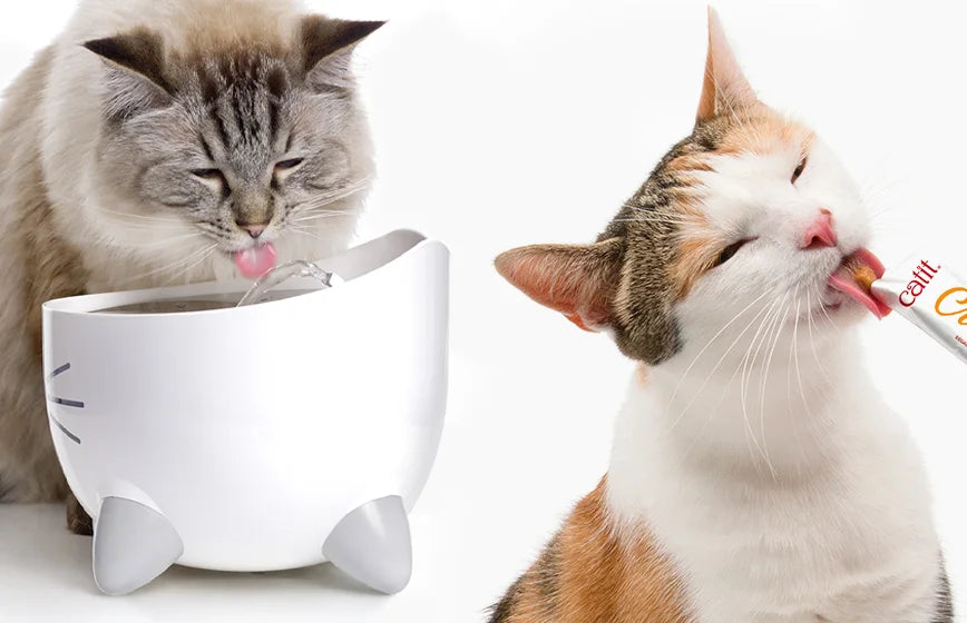 Catit_SHOPIFY_BANNER_Hydration_MOBILE-AUG-2025