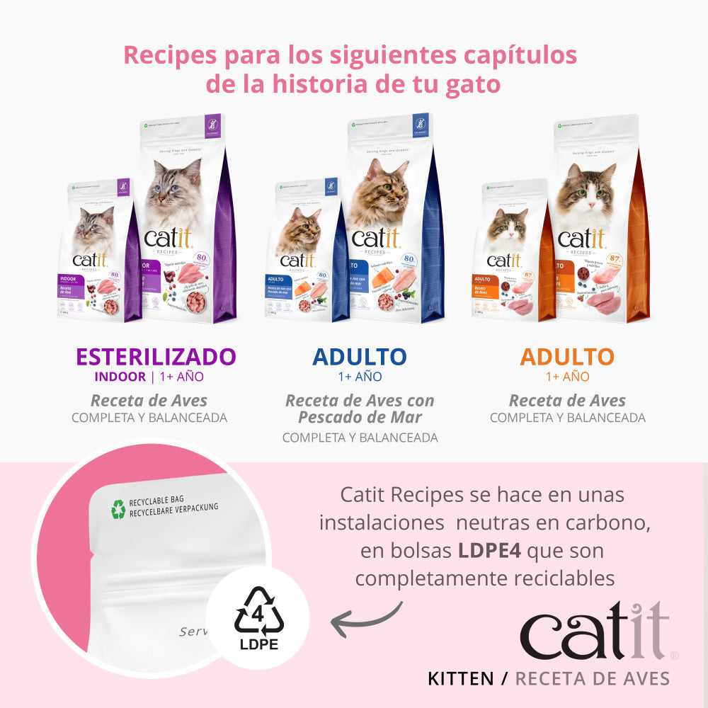 Pienso para Gatito Junior Catit Recipes -  Receta de Aves para KITTEN