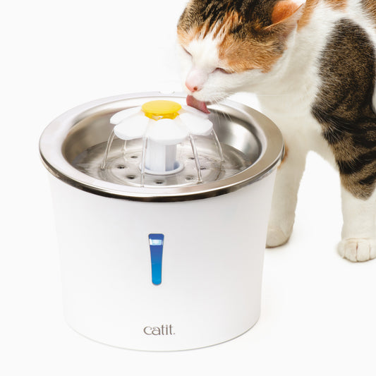 Fuentes para Gatos Catit , Bebederos para Gatos – Catit España - Tienda  oficial