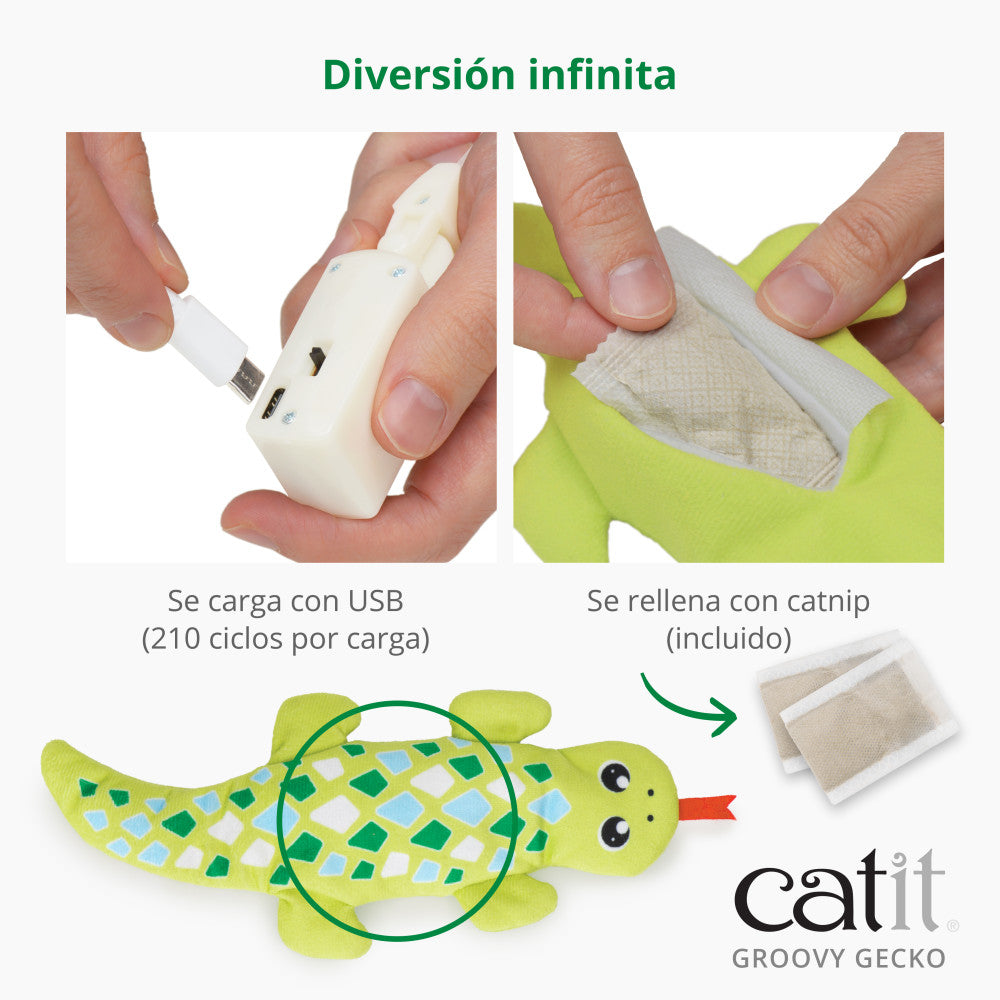 Catit Groovy Gecko, Verde
