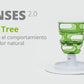 Senses Food Tree